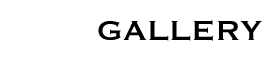 gallery of homes ~ remodels ~ additions ~ garages